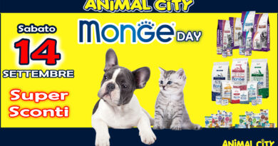 Monge Day Sabato 14 Settembre