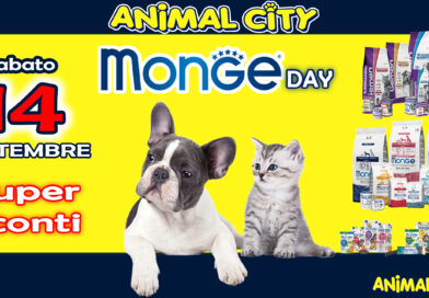 Monge Day Sabato 14 Settembre