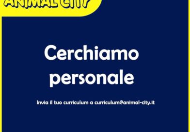 Cerchiamo Personale