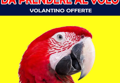 Volantino Marzo