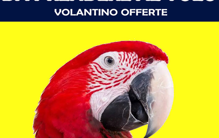 Volantino Marzo