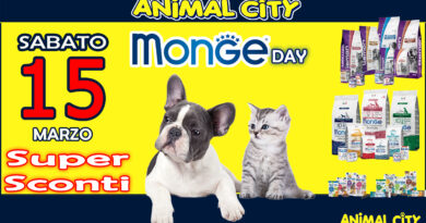 Monge Day – Sabato 15 Marzo 2025